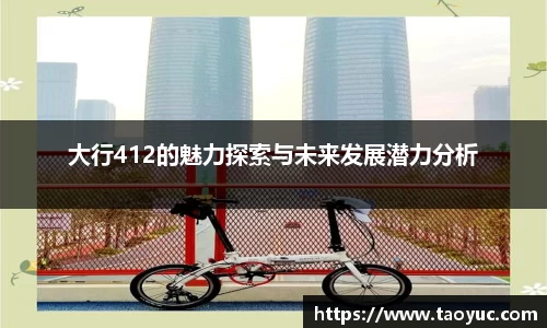 大行412的魅力探索与未来发展潜力分析