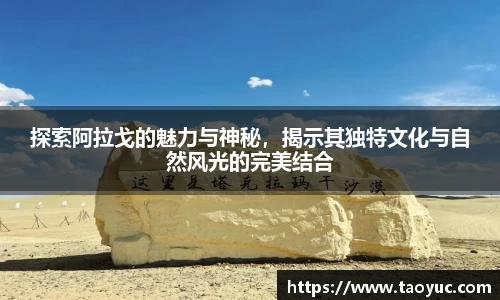 探索阿拉戈的魅力与神秘，揭示其独特文化与自然风光的完美结合